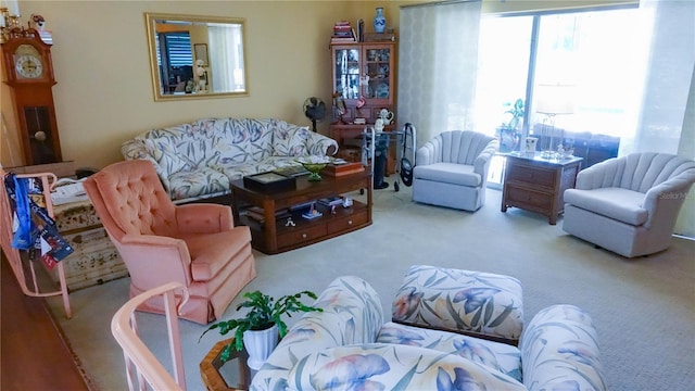 living room with carpet