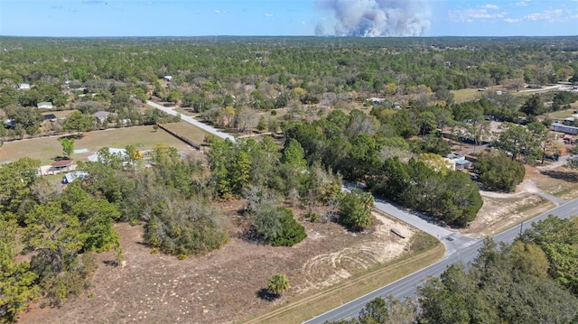 4787 W Cardinal St, Homosassa, FL 34446