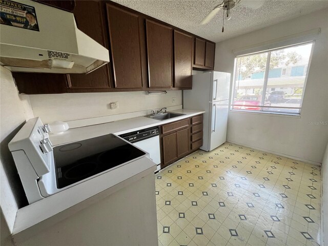 kitchen featuring light countertops, dark brown cabinetry, a sink, white appliances, and under cabinet range hood