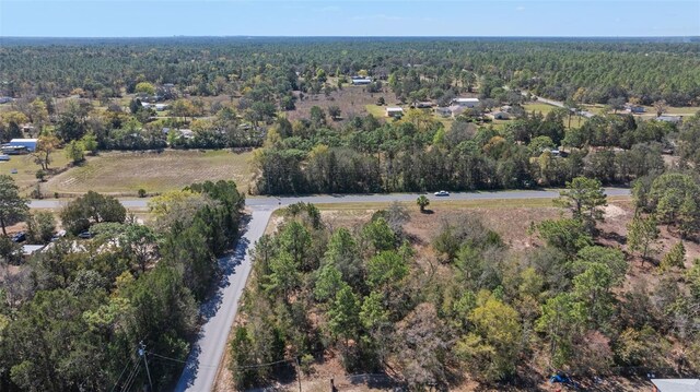4849 W Cardinal St, Homosassa, FL 34446 - photo 6