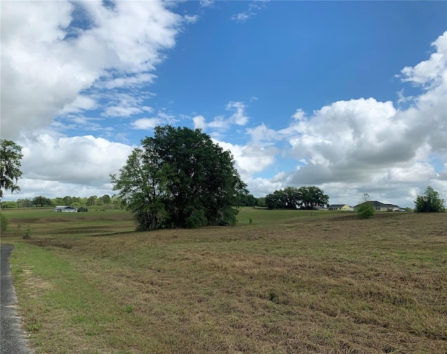 Listing photo 3 for TBD SW 10th St, Dunnellon FL 34431