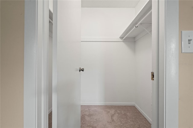 walk in closet featuring carpet flooring