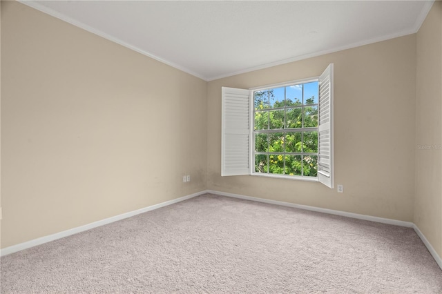 spare room with carpet, crown molding, and baseboards