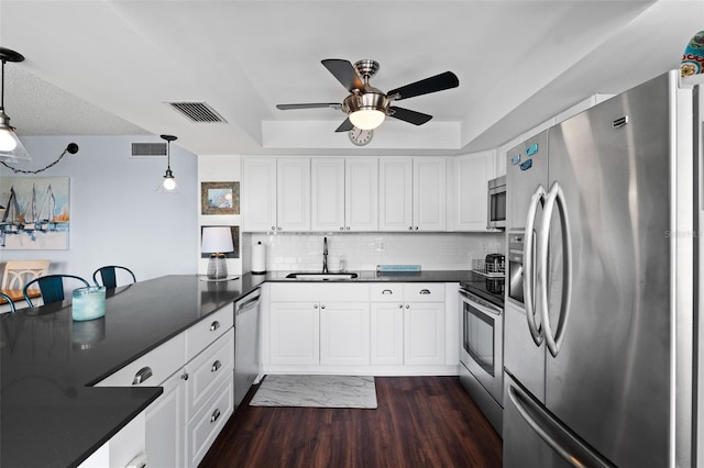 kitchen with hanging light fixtures, stainless steel appliances, sink, dark hardwood / wood-style floors, and a raised ceiling