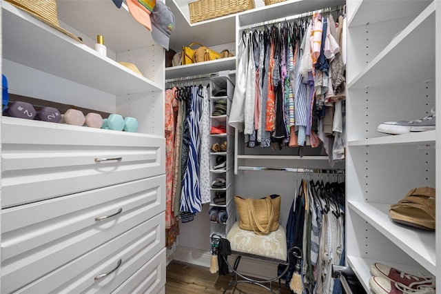 walk in closet with hardwood / wood-style flooring