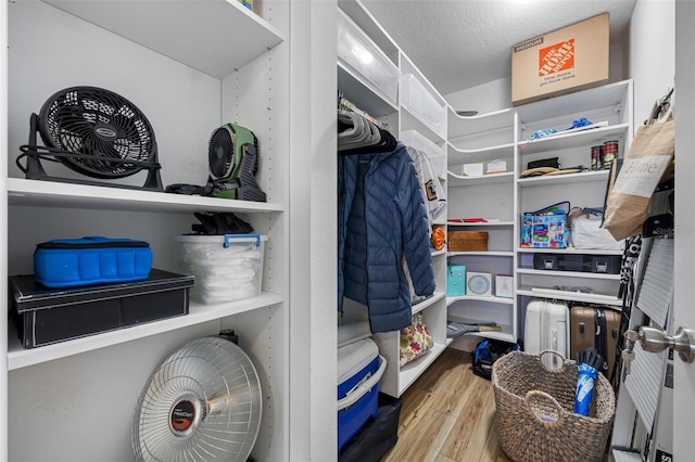 spacious closet with light wood-type flooring