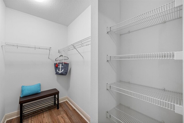 spacious closet featuring wood-type flooring