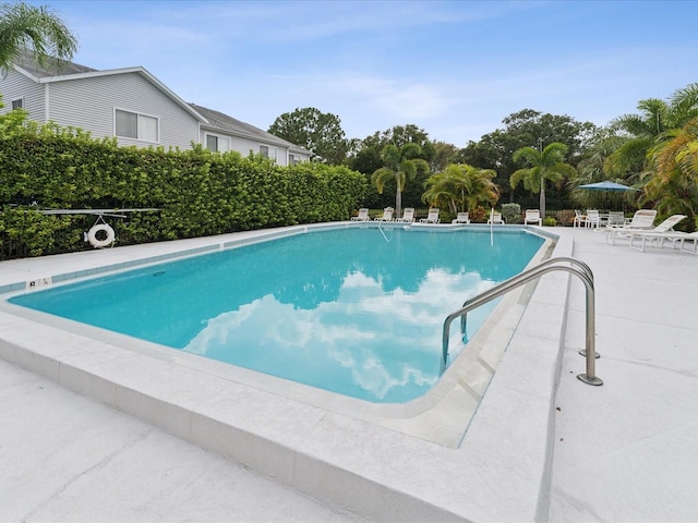 view of pool with a patio