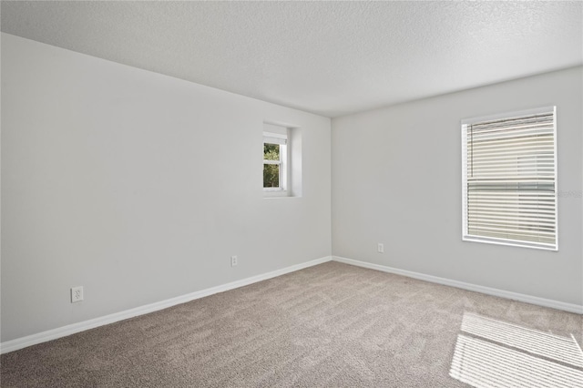 spare room featuring a textured ceiling and carpet flooring