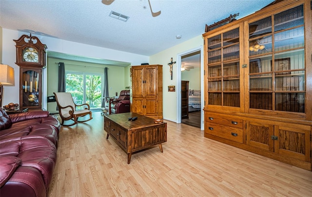 living room featuring a textured ceiling and light hardwood / wood-style floors