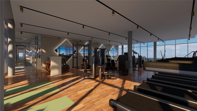 workout area featuring hardwood / wood-style flooring and track lighting