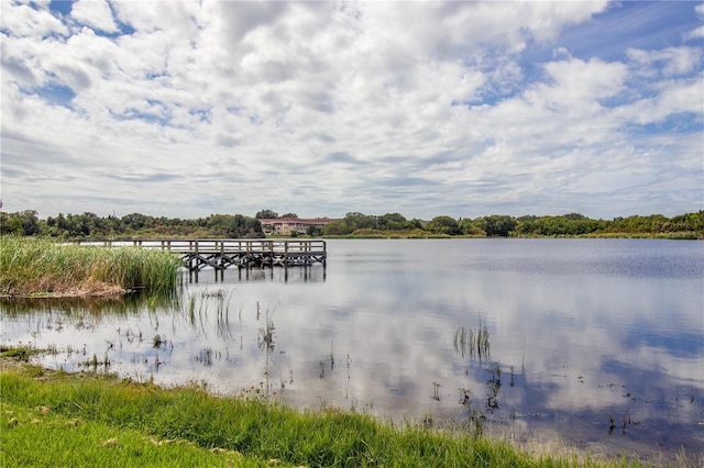 water view featuring a dock