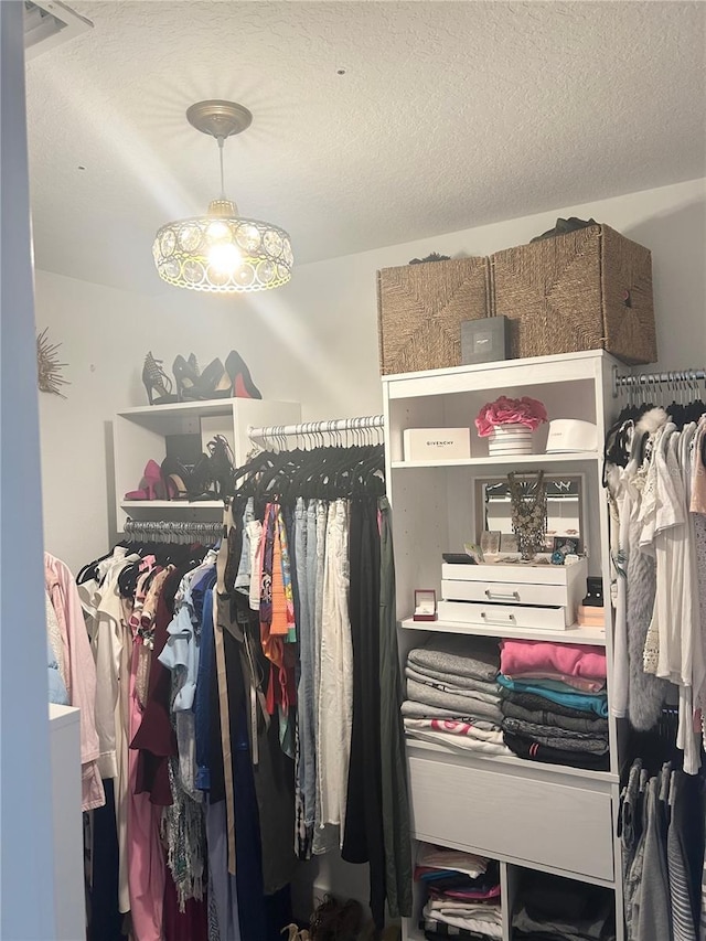 view of walk in closet