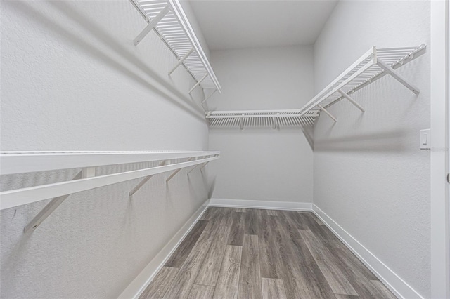 walk in closet featuring wood-type flooring