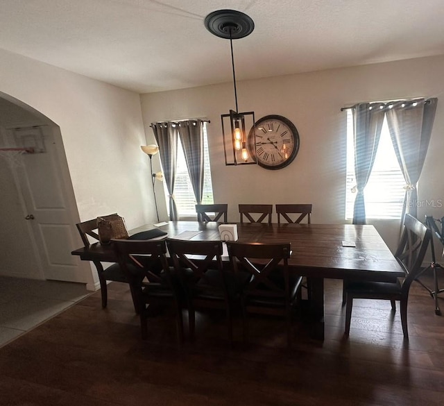 dining area with dark hardwood / wood-style flooring