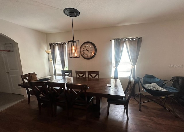 dining room with dark hardwood / wood-style floors