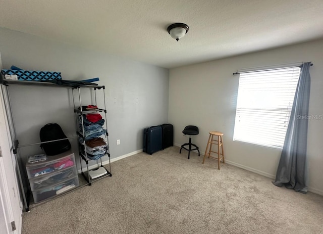 view of carpeted home office