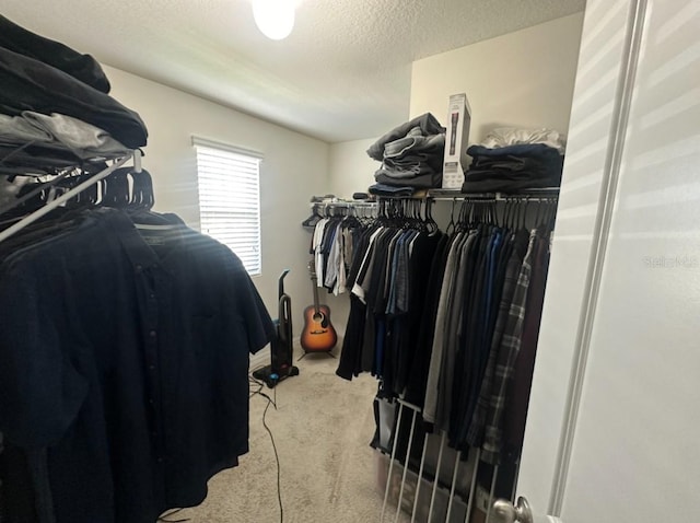 spacious closet featuring carpet flooring