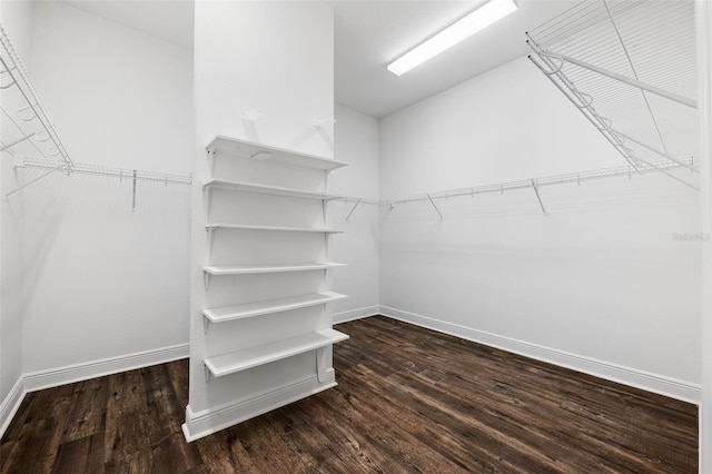 spacious closet featuring dark wood-type flooring