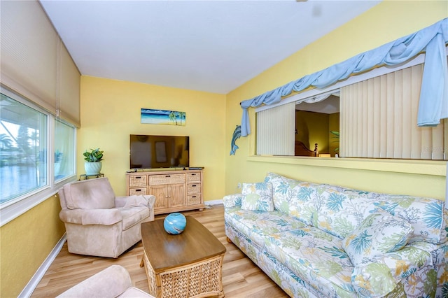 living room featuring light hardwood / wood-style flooring