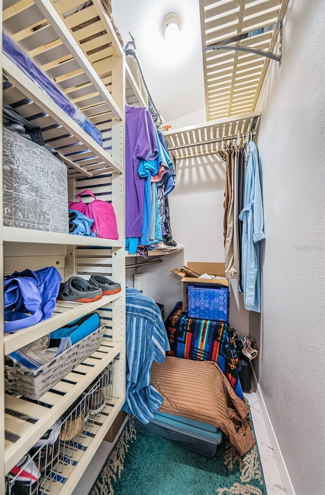 view of walk in closet