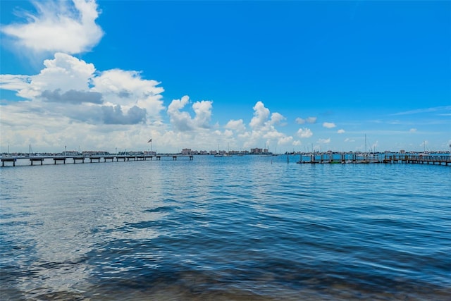 property view of water featuring a boat dock