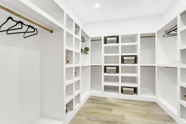 spacious closet with wood-type flooring