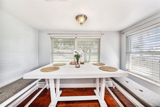 dining room with a baseboard heating unit and dark hardwood / wood-style floors