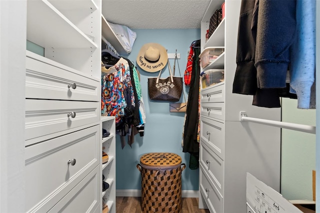 walk in closet featuring wood-type flooring