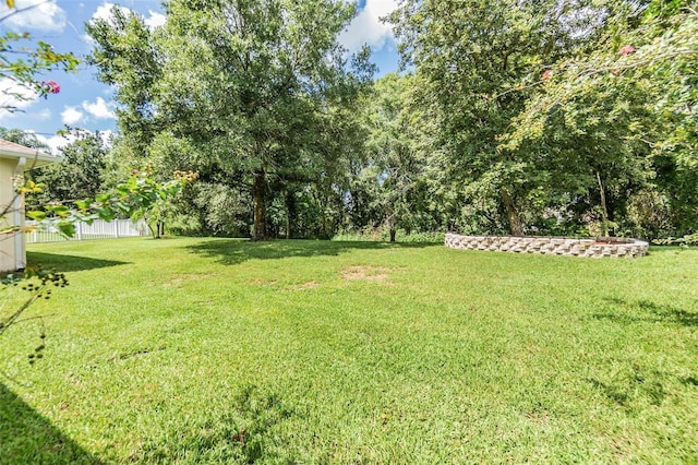 view of yard with fence