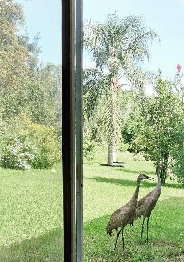 22531 Eagles Watch Dr, Land O Lakes, FL 34639 - view of entryway