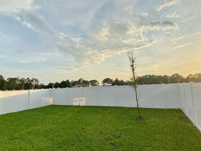 view of yard with a fenced backyard