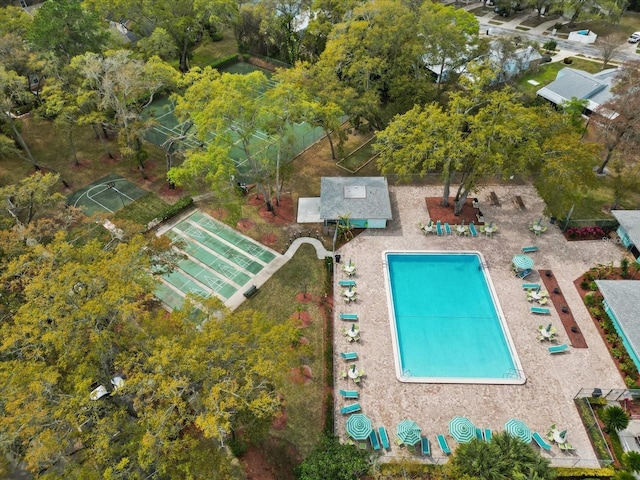 view of swimming pool