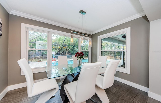 dining room featuring crown molding and dark wood-type flooring