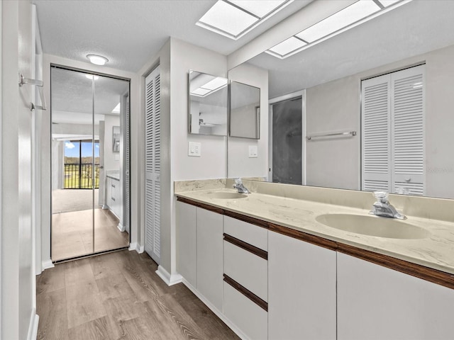 bathroom with a skylight, a closet, and a sink