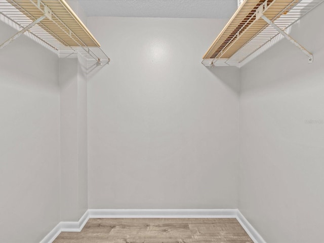 walk in closet featuring light wood-style flooring