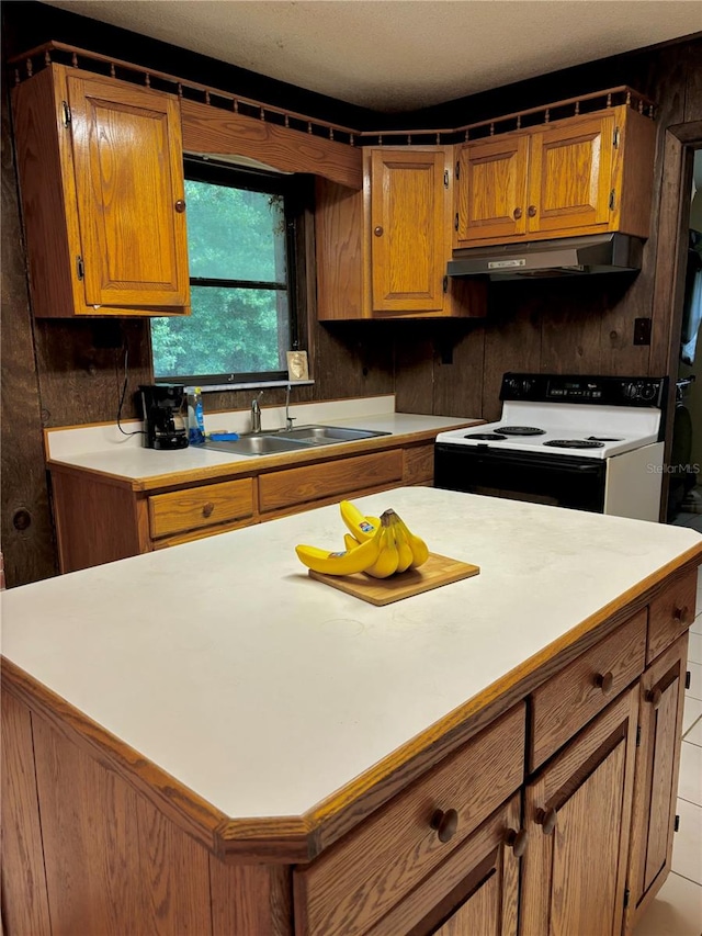 kitchen featuring white range with electric stovetop and sink