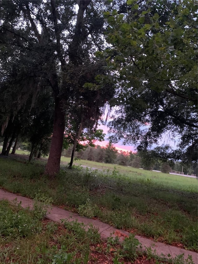 view of yard at dusk