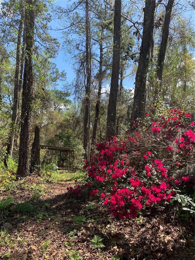 view of nature