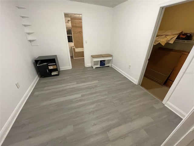 interior space with a walk in closet and hardwood / wood-style floors