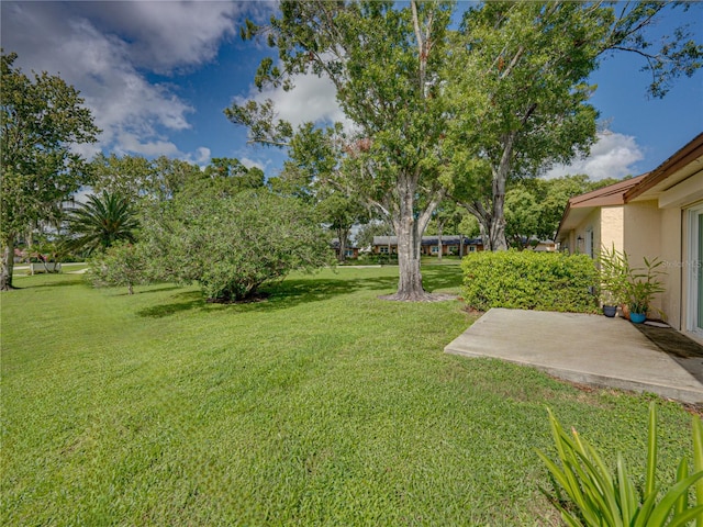 view of yard with a patio