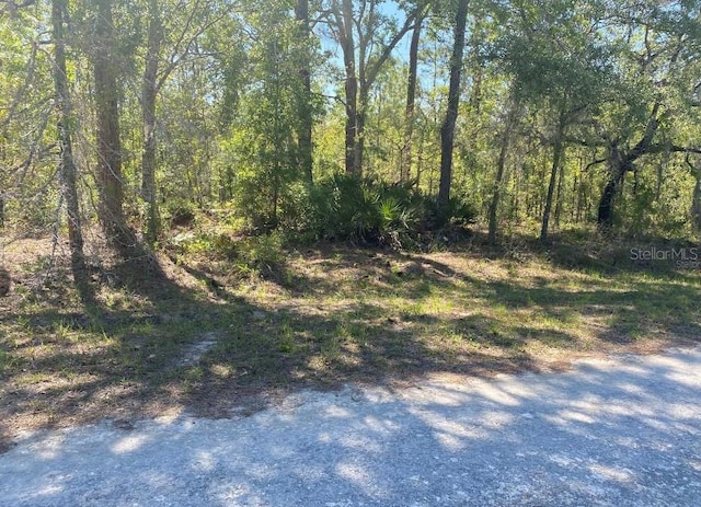 14227 Earline Rd, Brooksville FL, 34614 land for sale