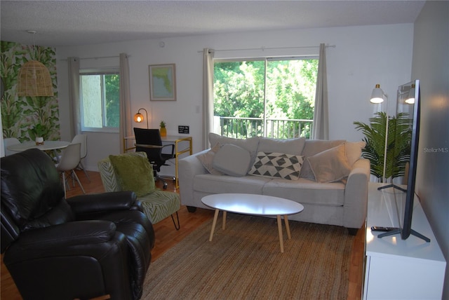 living room featuring hardwood / wood-style flooring