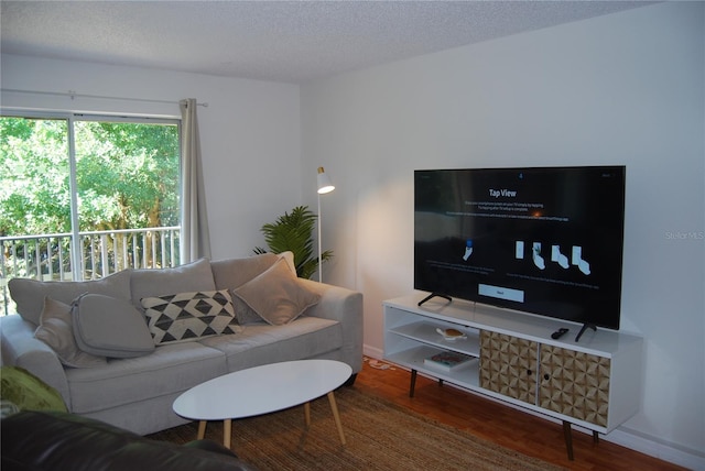 living room featuring a textured ceiling and hardwood / wood-style flooring