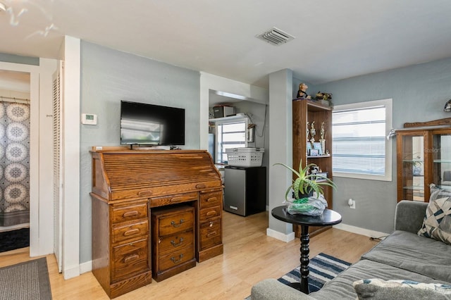 living room featuring light wood-type flooring and plenty of natural light