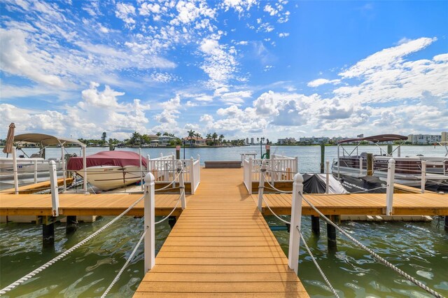 dock area with a water view