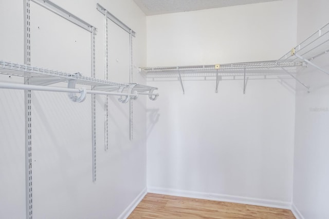 walk in closet featuring wood-type flooring