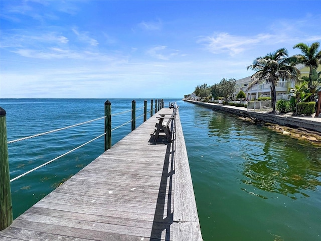 dock area with a water view