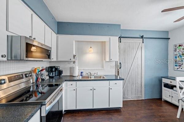 kitchen with a barn door, appliances with stainless steel finishes, dark hardwood / wood-style flooring, sink, and ceiling fan