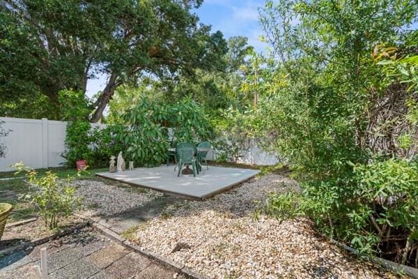 view of yard featuring a patio area